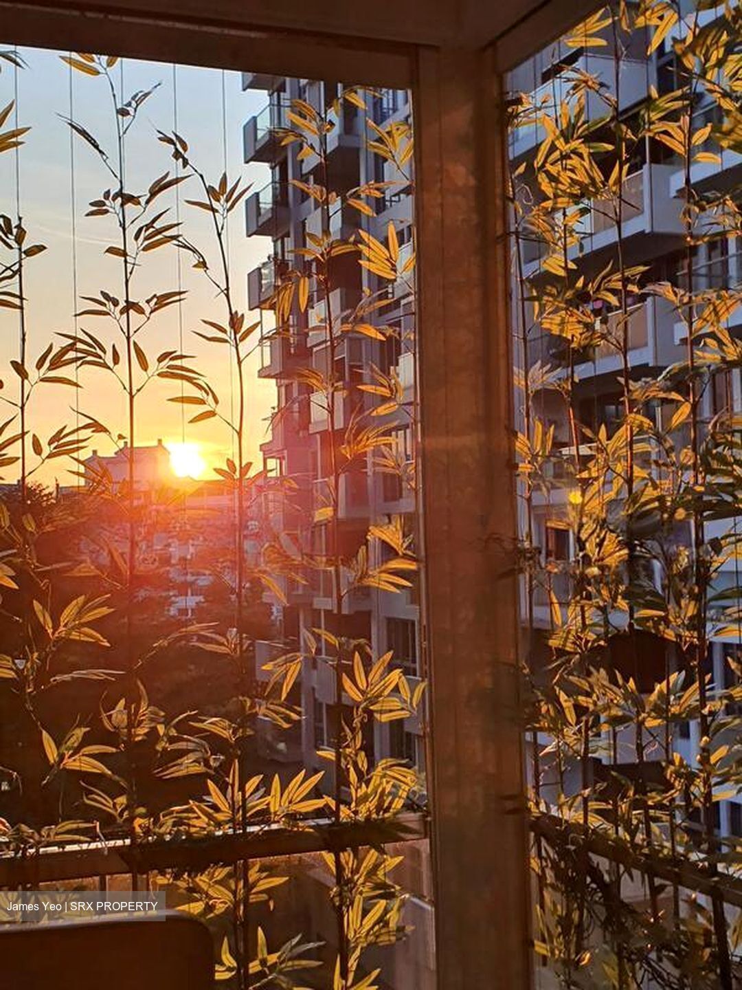The Canopy (D27), Condominium #571826021